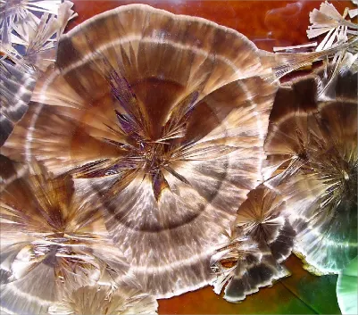 Bory 1 crystals grown at 1260C