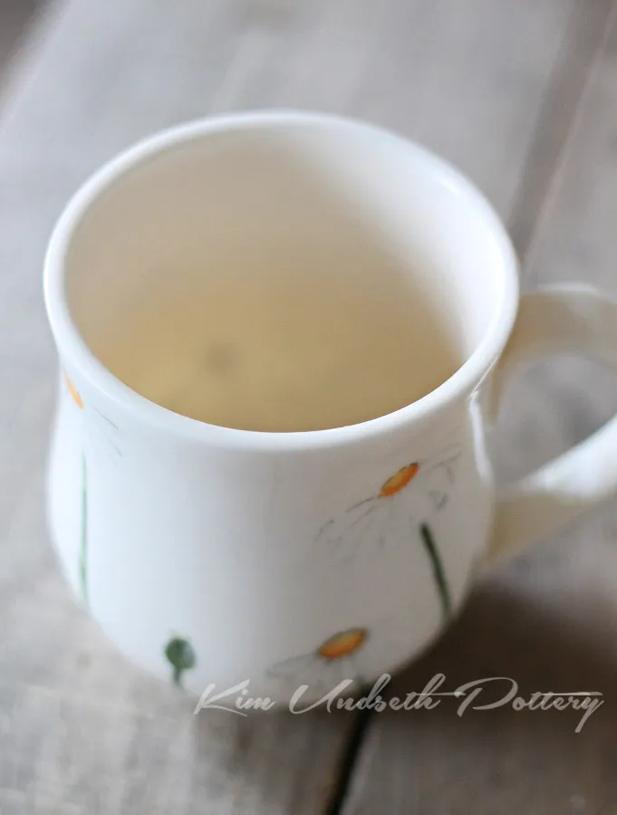 Polar Ice Translucent Mug by Kim Undseth