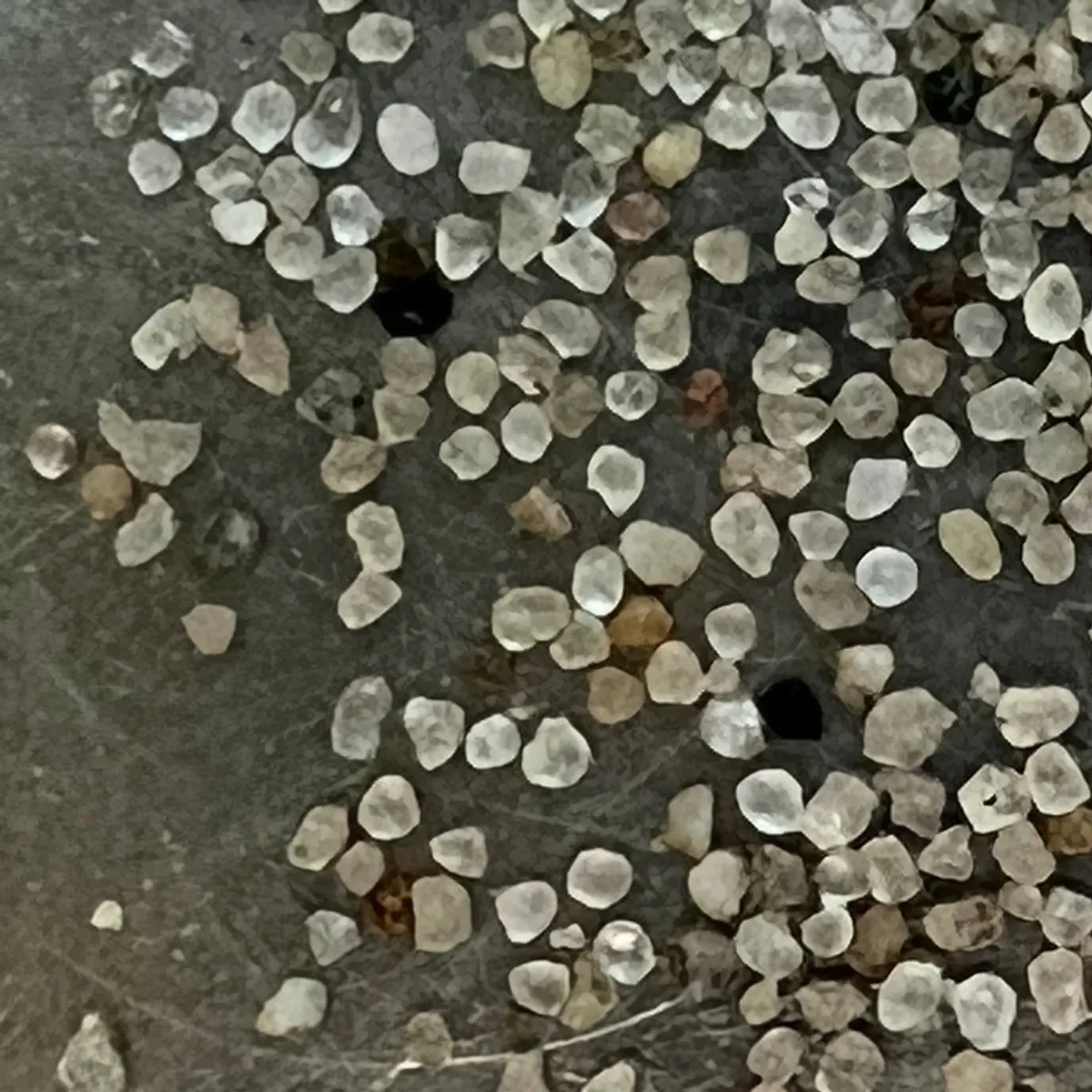 Micro photo of clay particles