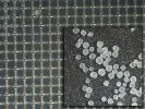 A closeup of a 325 mesh screen
