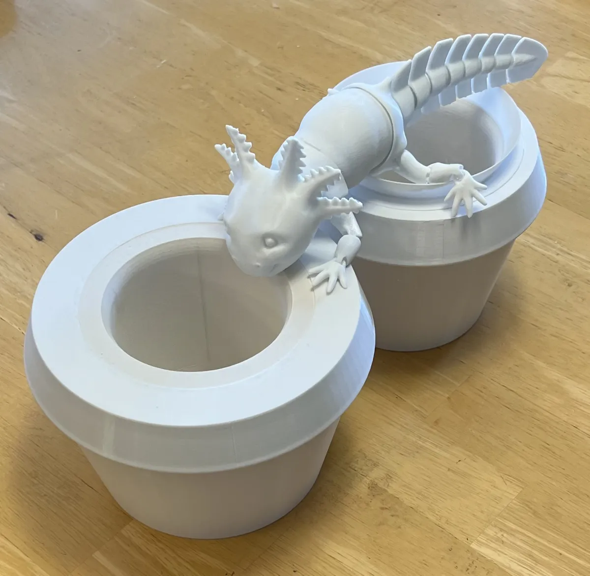 3D printed Axolotl well demonstrates 