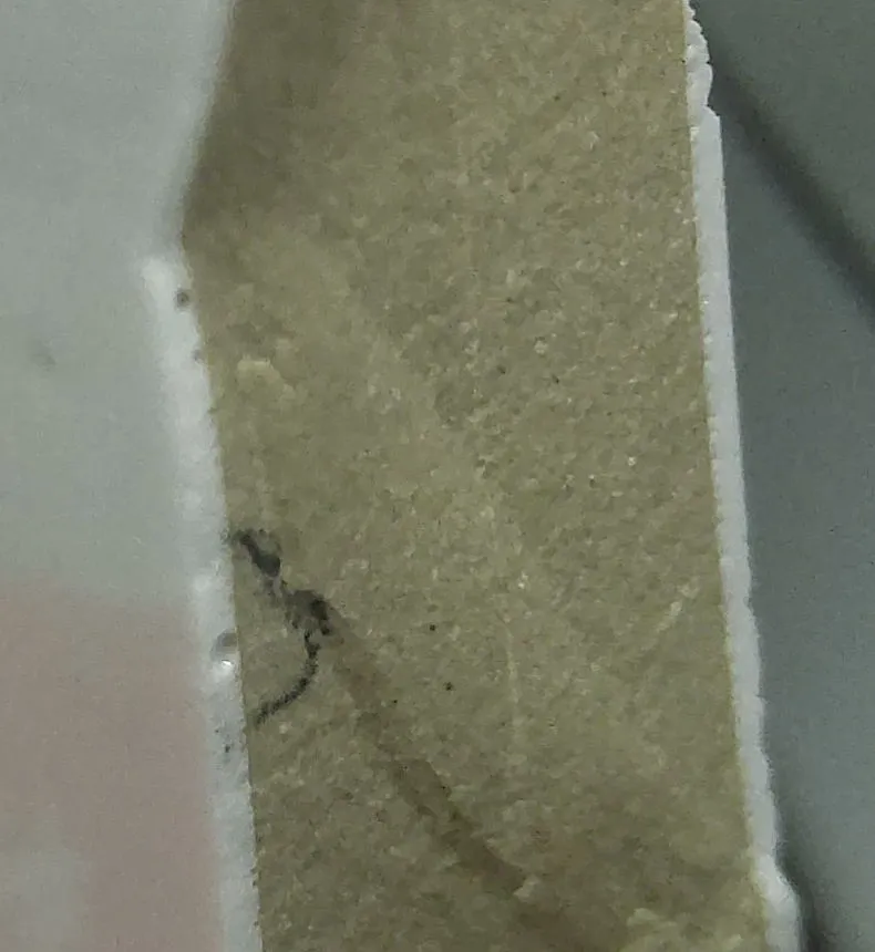 Broken cross-section of sanitaryware body from China