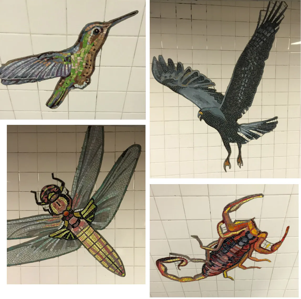 Mosaics on the wall in the New York Subway